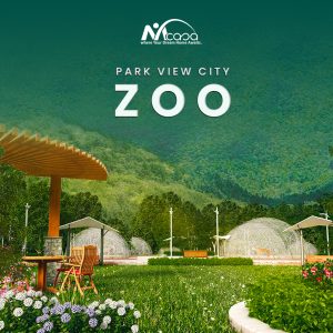 zoo